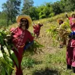 men and women working in the field