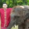 man and woman looking after baby elephants