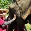 women bonding with elephant