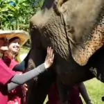 women bonding with elephant