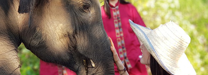 close of woman bonding with elephant