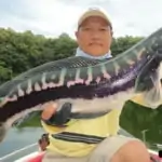 fisherman holding his catch - giant snakehead