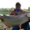 fisherman holding his catch - giant mekong catfish