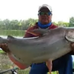 fisherman holding his catch - giant mekong catfish