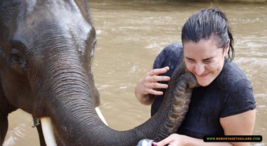 elephant kissing a lady in river