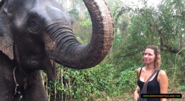 lady looking at elephant in forest