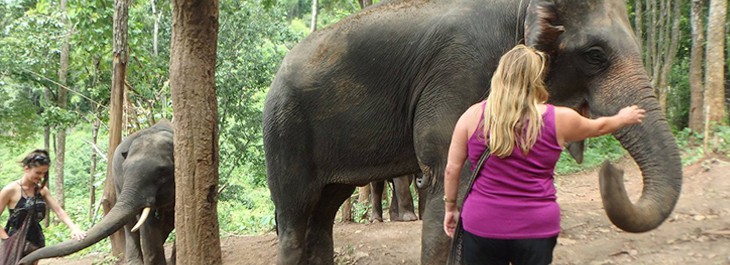 women playing with elephants in forest