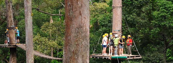 jungle flight sky bridge