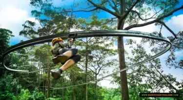 jungle flight zip line roller coaster