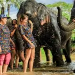 water splashing at kanta elephant sanctuary