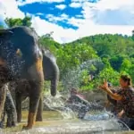 bathing elephants at kanta elephant sanctuary