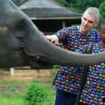 men feeding elephants