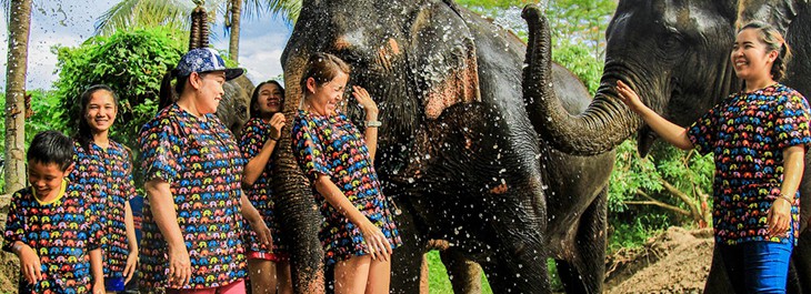 group of people playing in the water with elephants