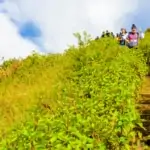 kew mae pan nature trail