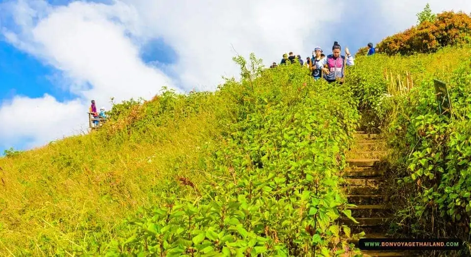 kew mae pan nature trail