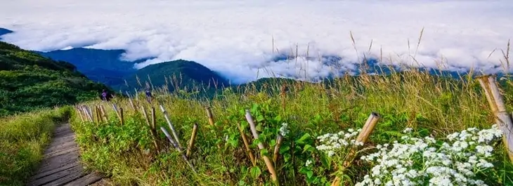 Sentier nature de Kew Mae Pan