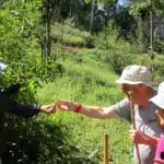 couple and guide trekking through mae kampong