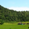 mae-wang-trekking-hug-elephant-sanctuary-1