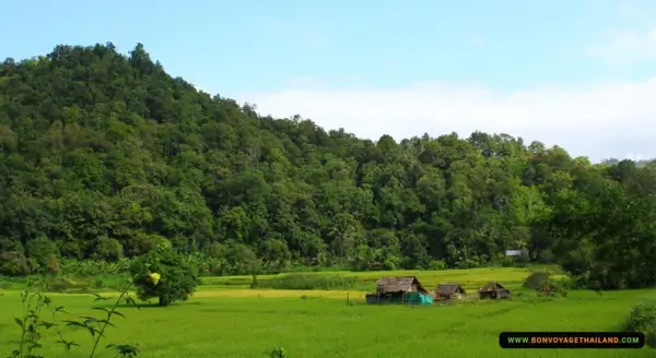 mae-wang-trekking-hug-elephant-sanctuary-1