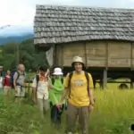 trekking through rice paddy