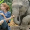 young woman touching elephant