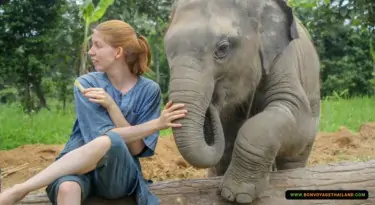 young woman touching elephant