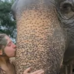 young lady with mud on face kissing an elephant