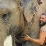 young man hugging and giving elephant mud spa