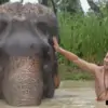 young man giving elephant a bath in river