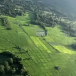 view from microlight flying over chiang mai