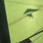 silhouette of microlight over rice paddies