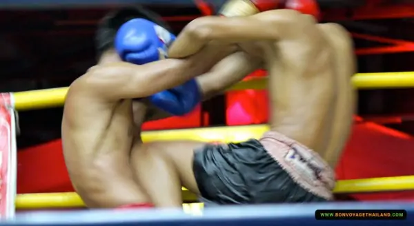 boxers boxing inside ring