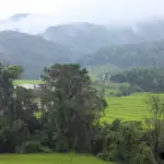 rice terraces at kew mae pan nature trail