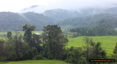 rice terraces at kew mae pan nature trail