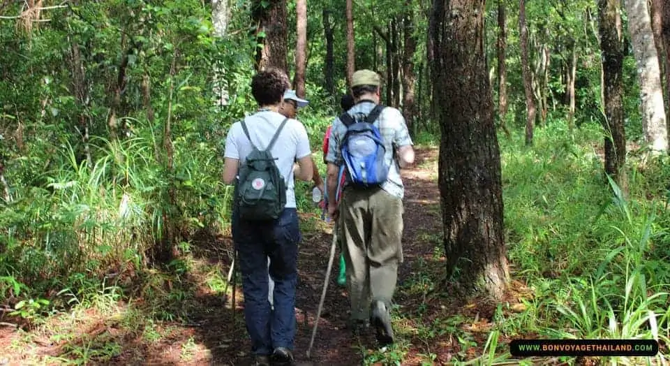 group of people trekking on pha dok siew nature trail