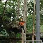 quick jump at pongyang jungle coaster zipline