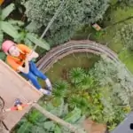 smiling woman descending from treetop