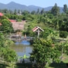 view of tropical farm