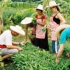 group of people harvesting thai herbs and vegetables in kitchen garden