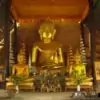 golden buddha statues at wat chedi luang