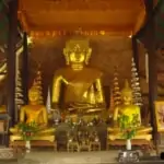 golden buddha statues at wat chedi luang