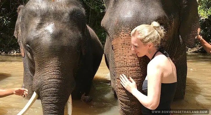 woman giving elephant a bath