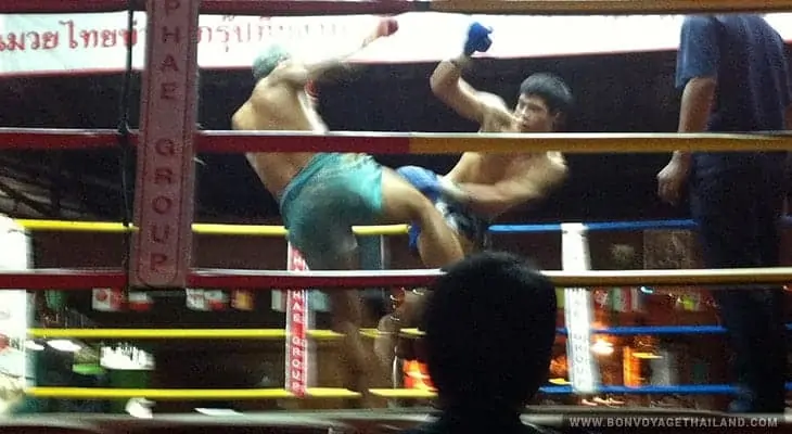muay thai - thai boxing