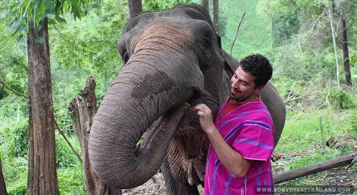 young man bonding with elephant