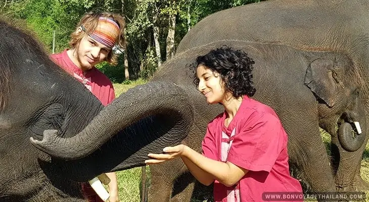 young man and woman playing with elephant at elephant rescue park