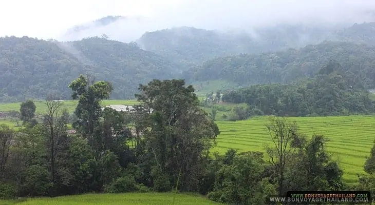 pha dok siew mini trekking trail