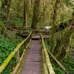 ang-ka-luang-nature-trail