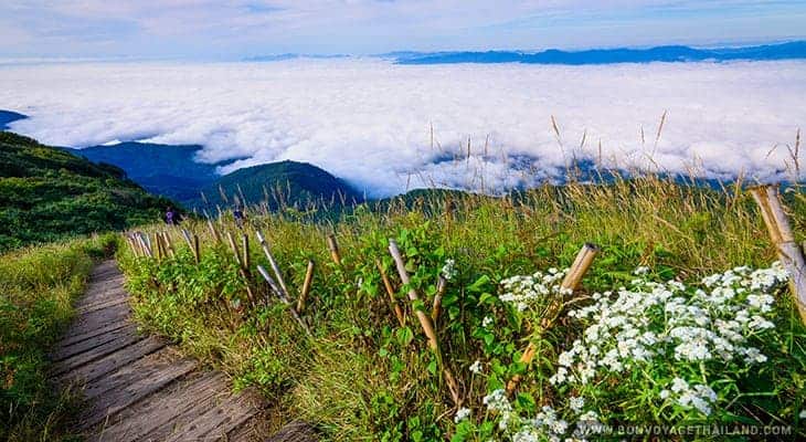 kaew mae pan nature trail at doi inthanon national park