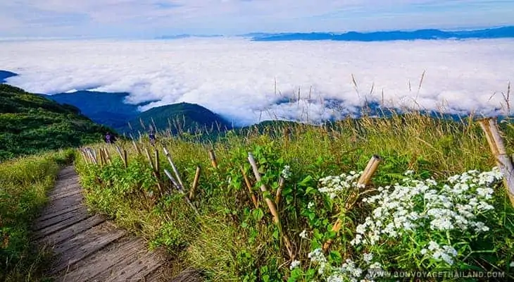 at doi inthanon national park