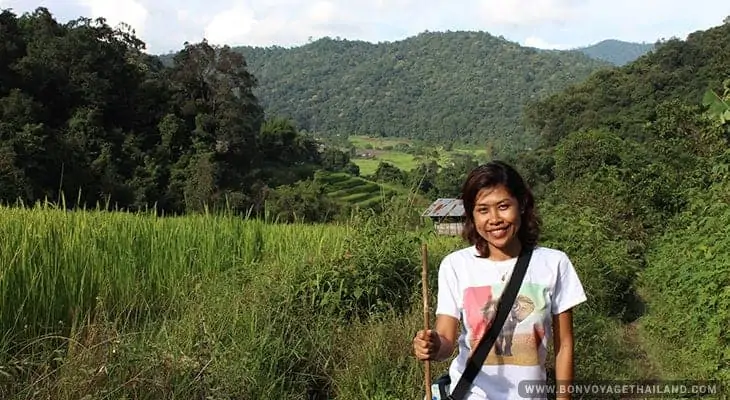 pha dok siew mini trekking at doi inthanon national park